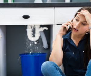 About Plumbers Pros Tinnie, NM